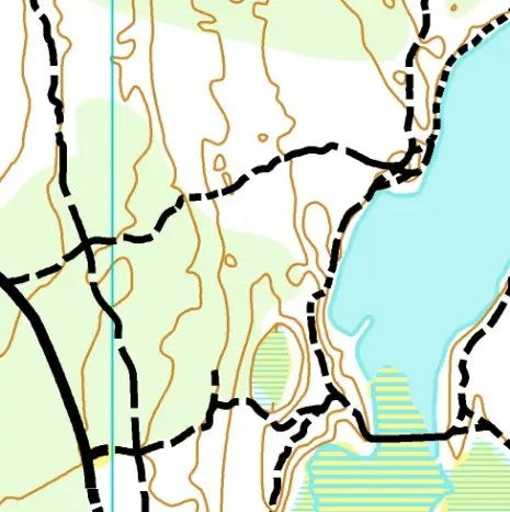 Typisk MTBO karta från Småland.