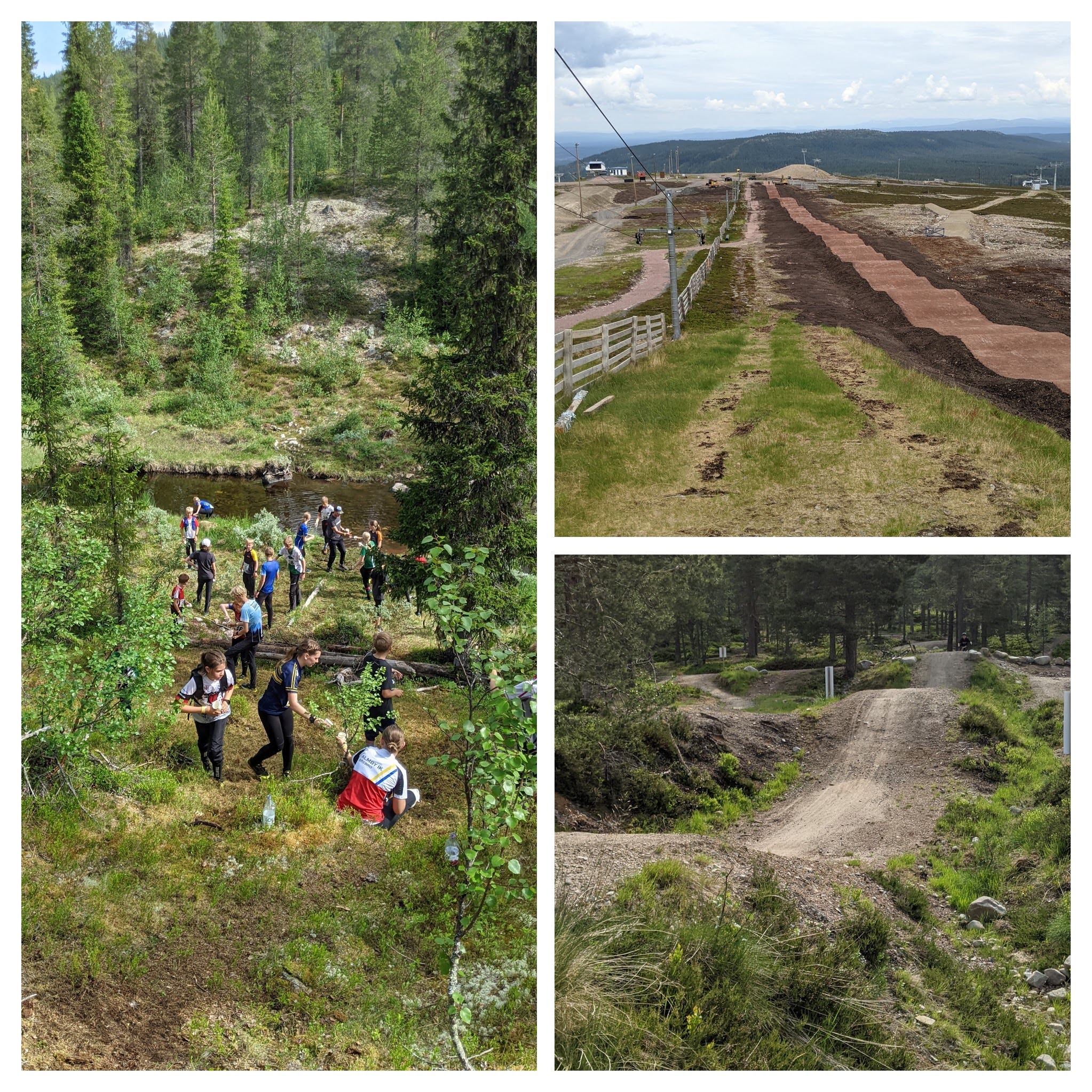 Bilder med uplevelser från rikslägret i MTB-O