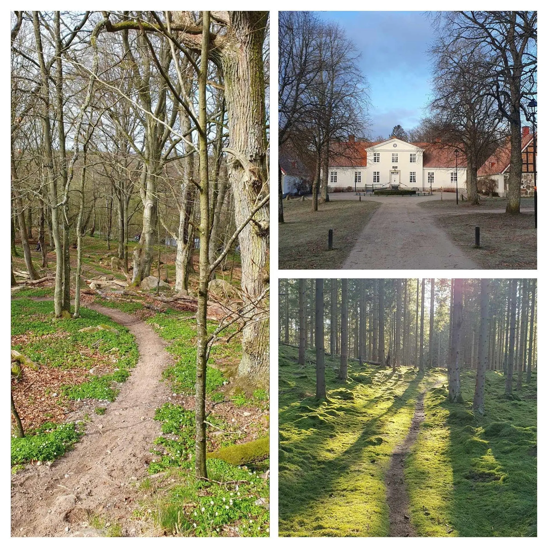 Exkursion med cykel och karta på fina stigar Skåne.