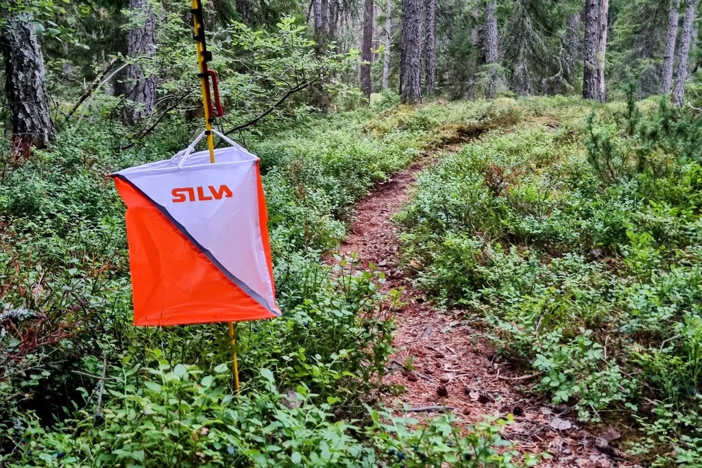 Kontroll längs stigen i skogen