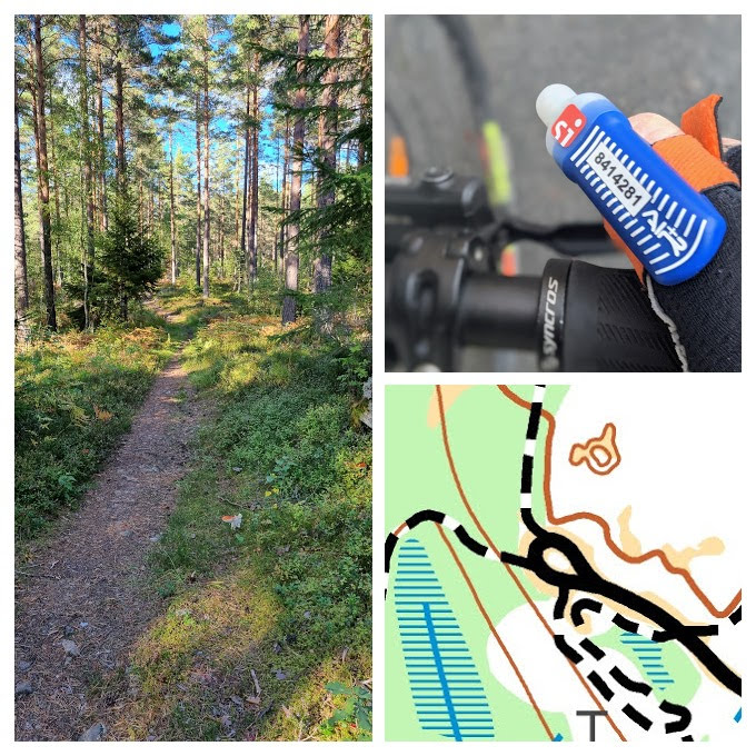 OK Rodhen arrangerar Rodhenloppet med både OL och MTBO. Tävlingen inleds 16.00 med individuell masstart för cyklister, därefter patrulltävling för löpare med gemensam start 18.00. Tidtagning för MTBO med Sportident AIR+ och SIAC-pinne krävs.